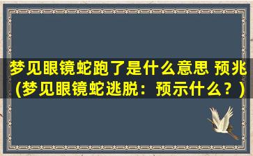 梦见眼镜蛇跑了是什么意思 预兆(梦见眼镜蛇逃脱：预示什么？)